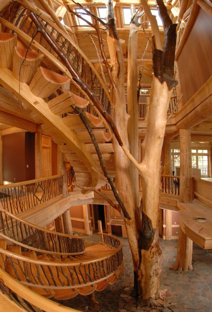 Tree Stairs